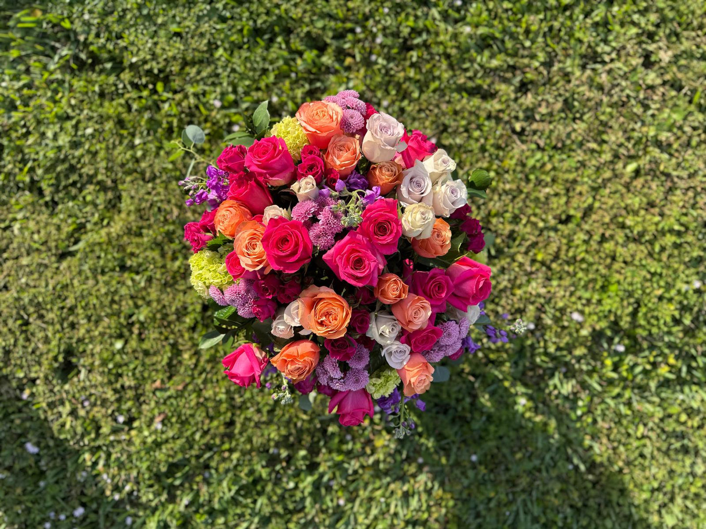 LULUX Poetic Bloom