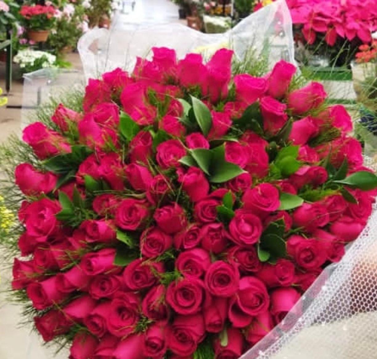 Passion Bloom