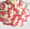 Sweet Blush