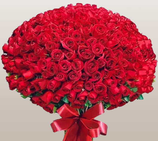 Passion Roses